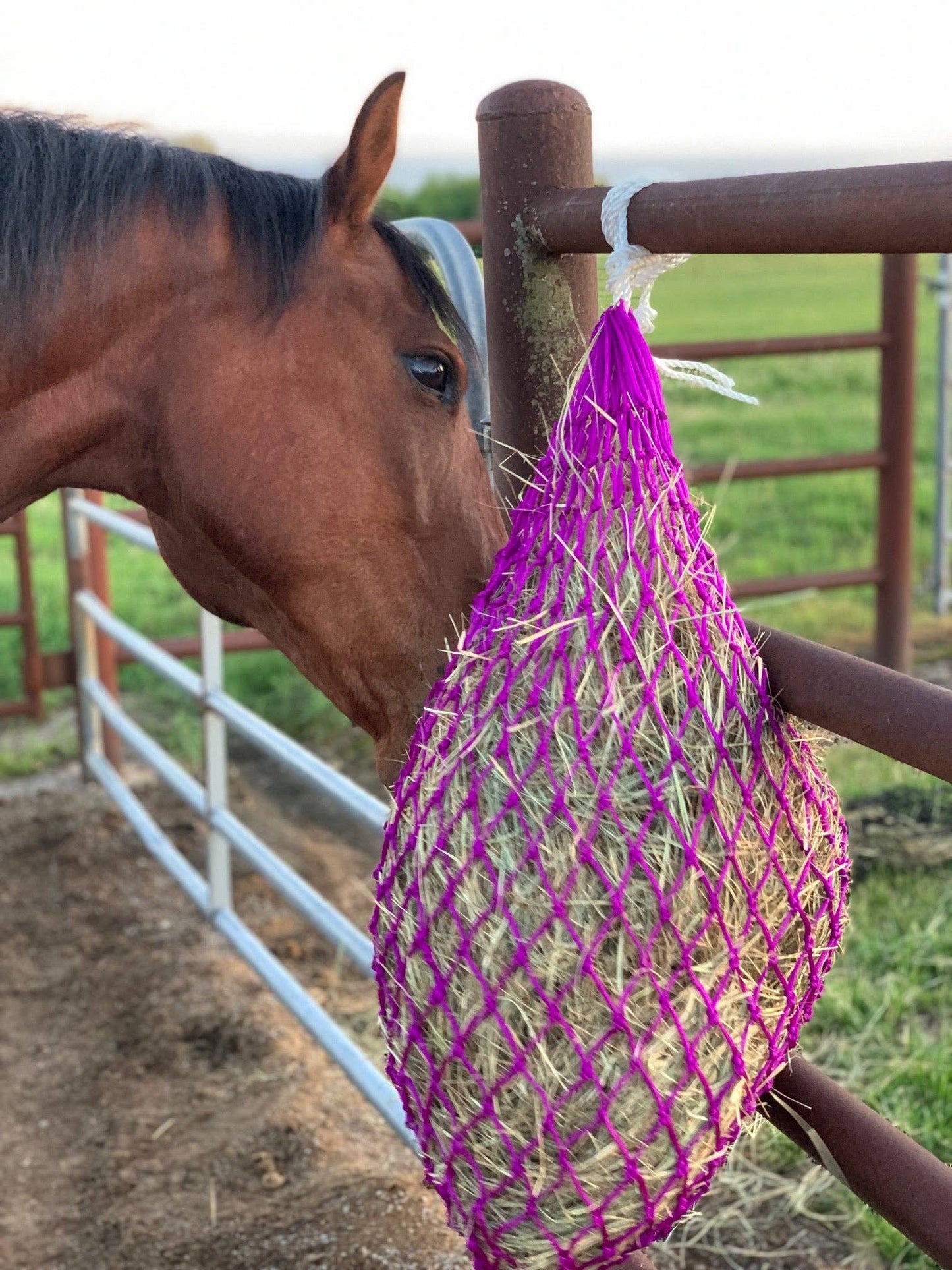 2"x 2" Slow Feeder Hay Net: Orange