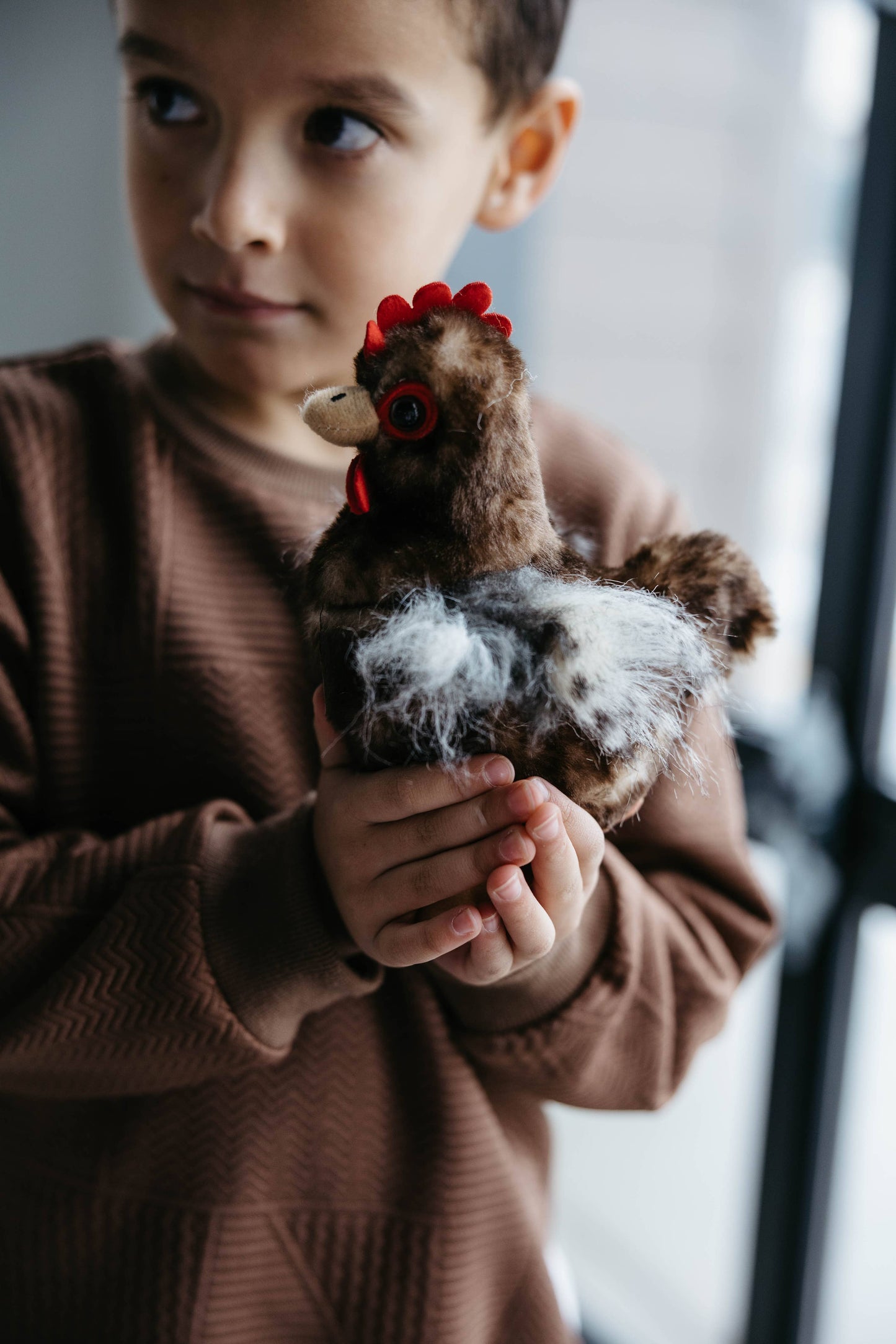 9" (20cm) Wild Onez Chicken Brown