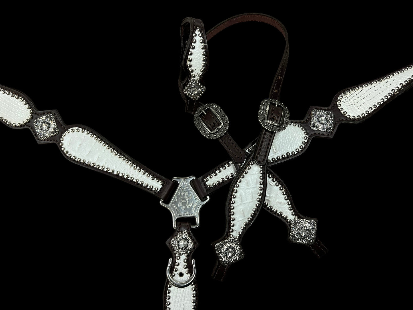 White with silver tips gator on dark leather