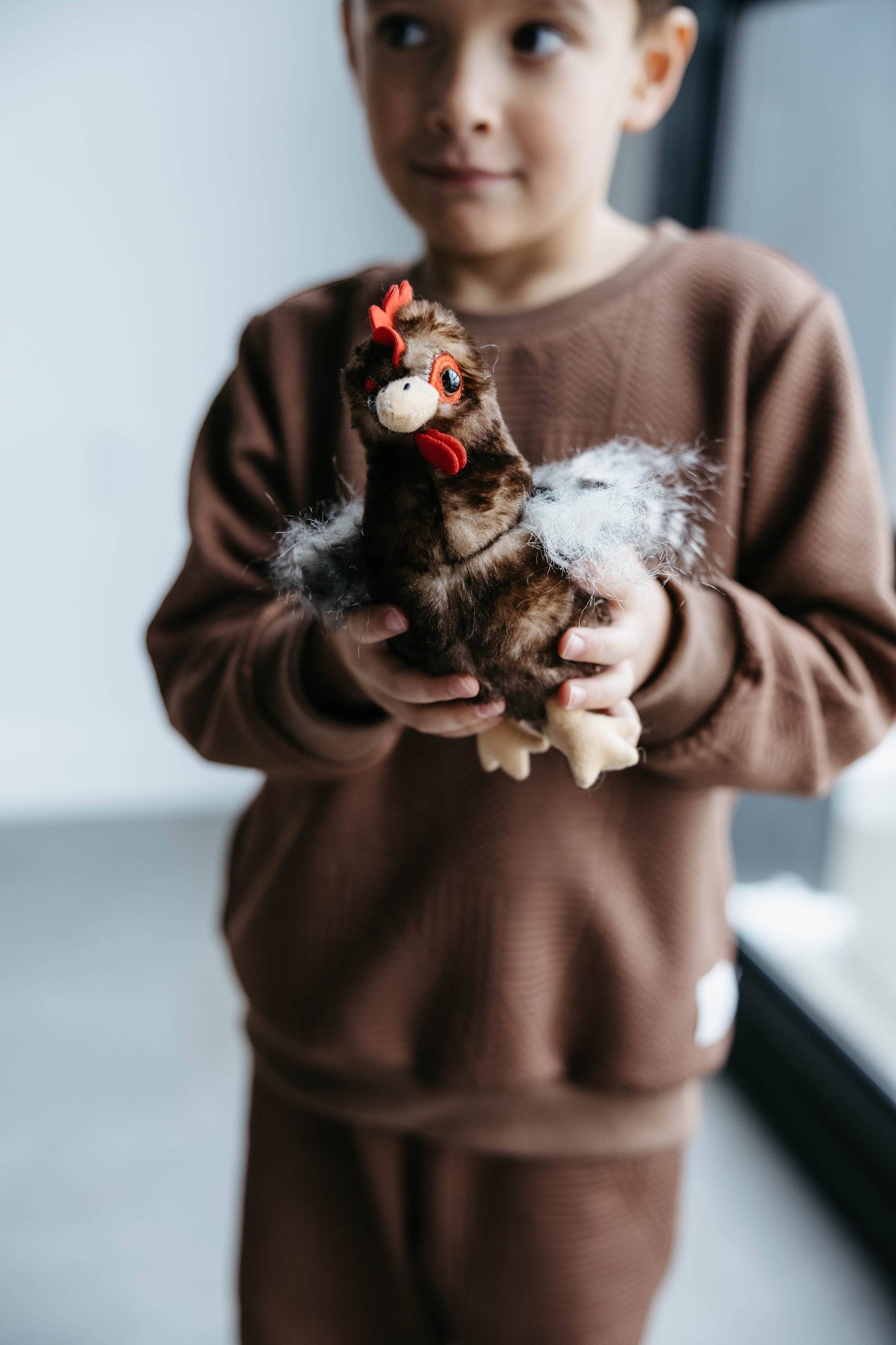 9" (20cm) Wild Onez Chicken Brown
