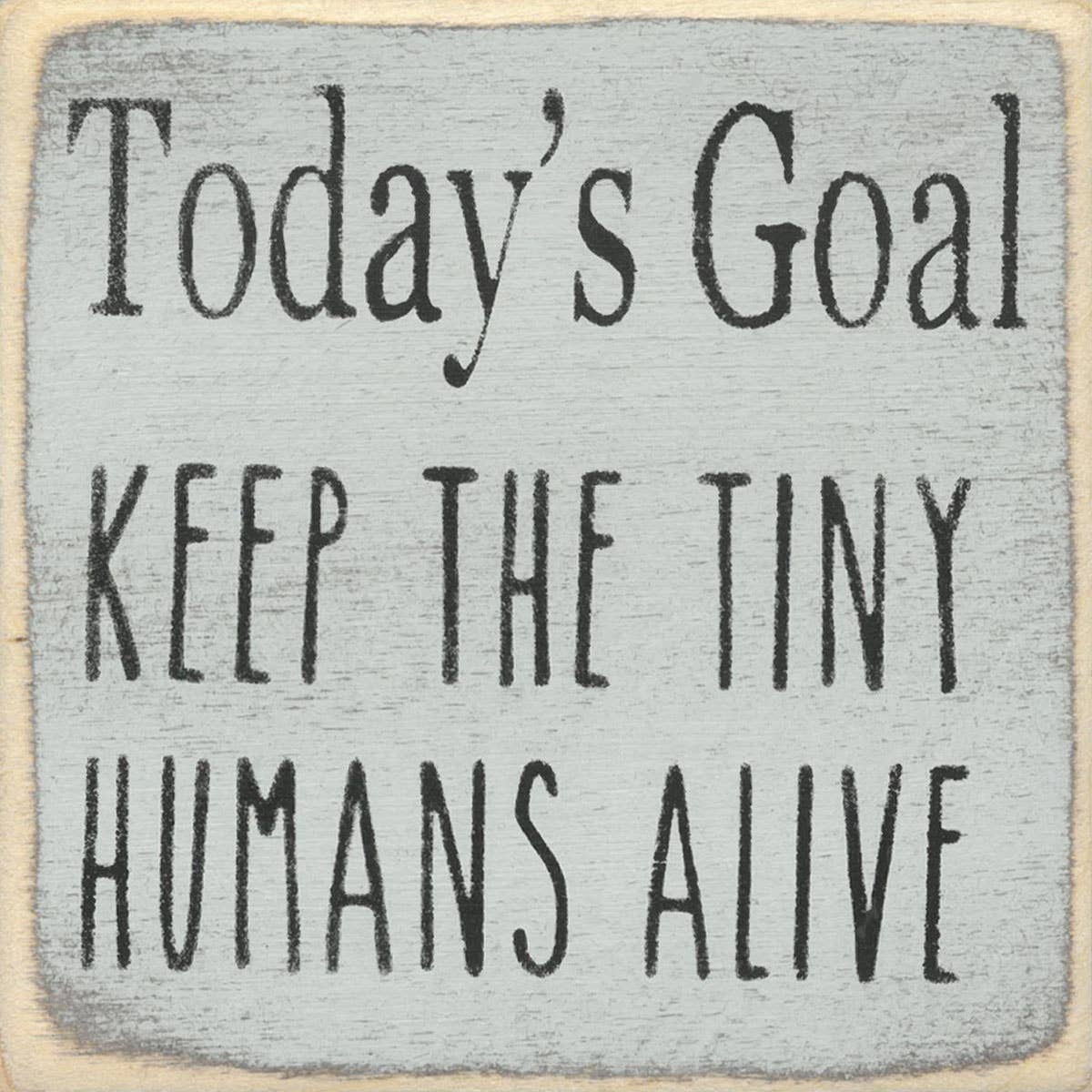 4X4-203 Today's Goal s