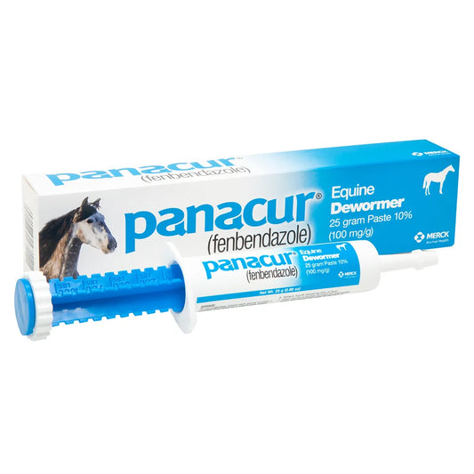Panacur Horse Dewormer Paste Merck Animal Health