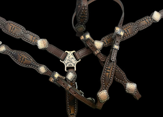 Brown longhorns on Walnut eather