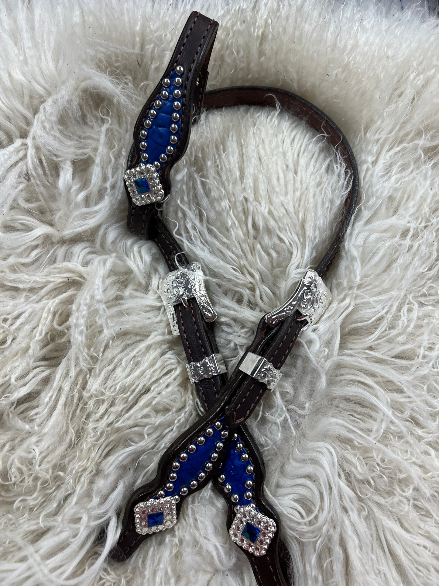 Blue gator on dark leather with blue rhinestones