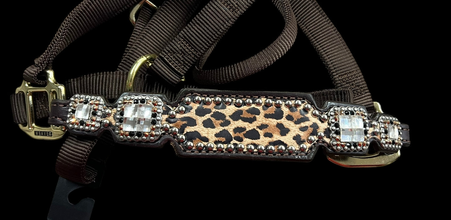 Leopard on dark leather