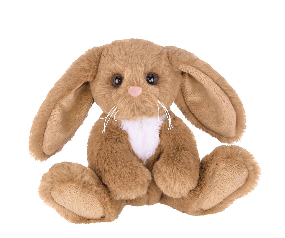Lil' Benny the Brown Bunny
