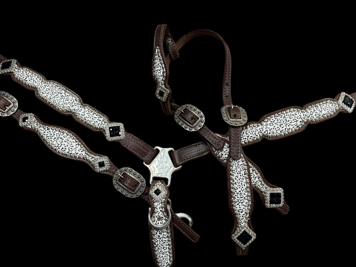 Snow leopard on dark leather