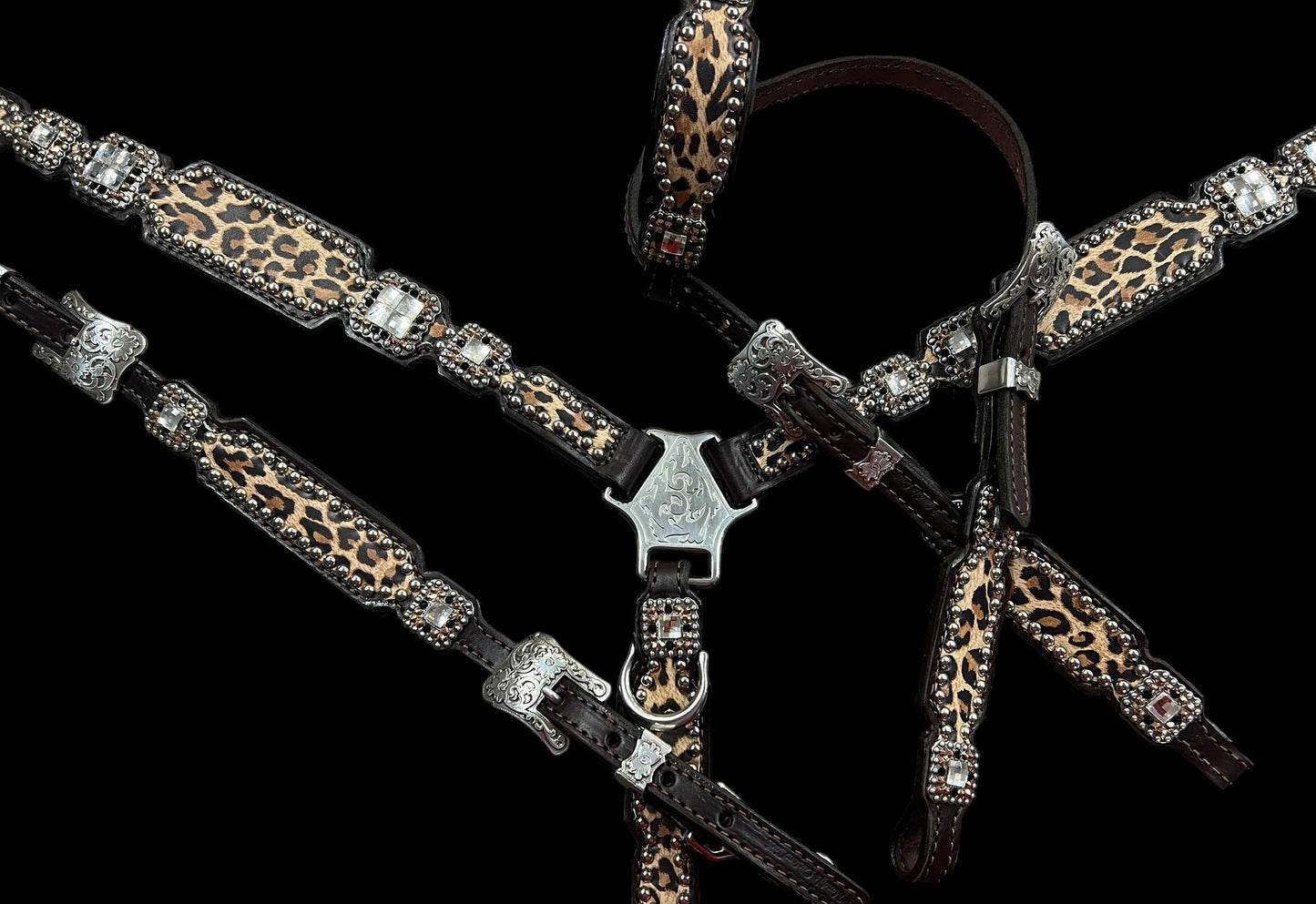 Leopard on dark leather