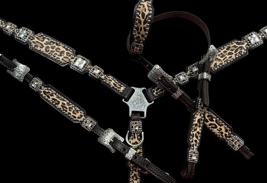 Leopard on dark leather