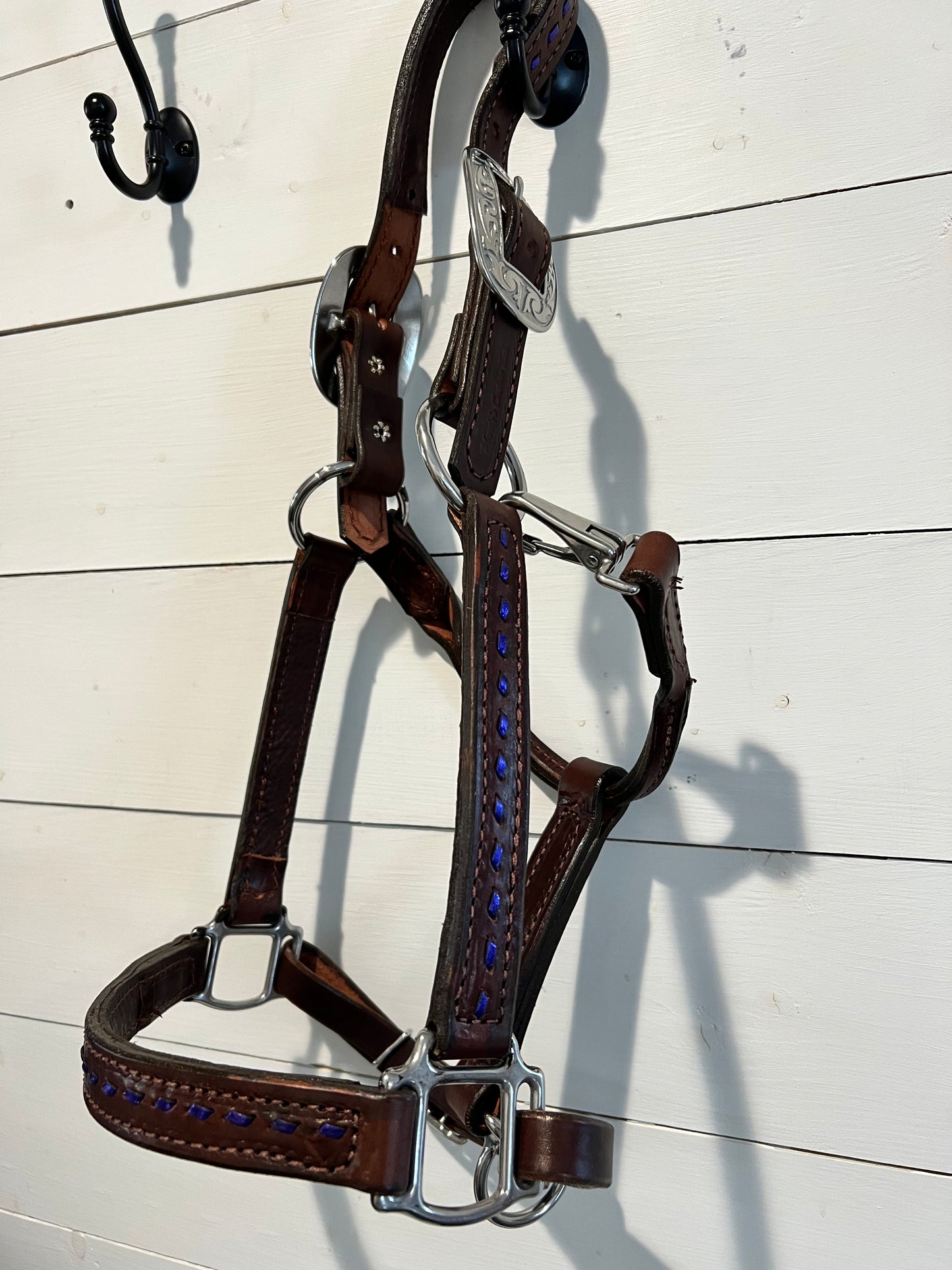 All leather halter with buckstitch