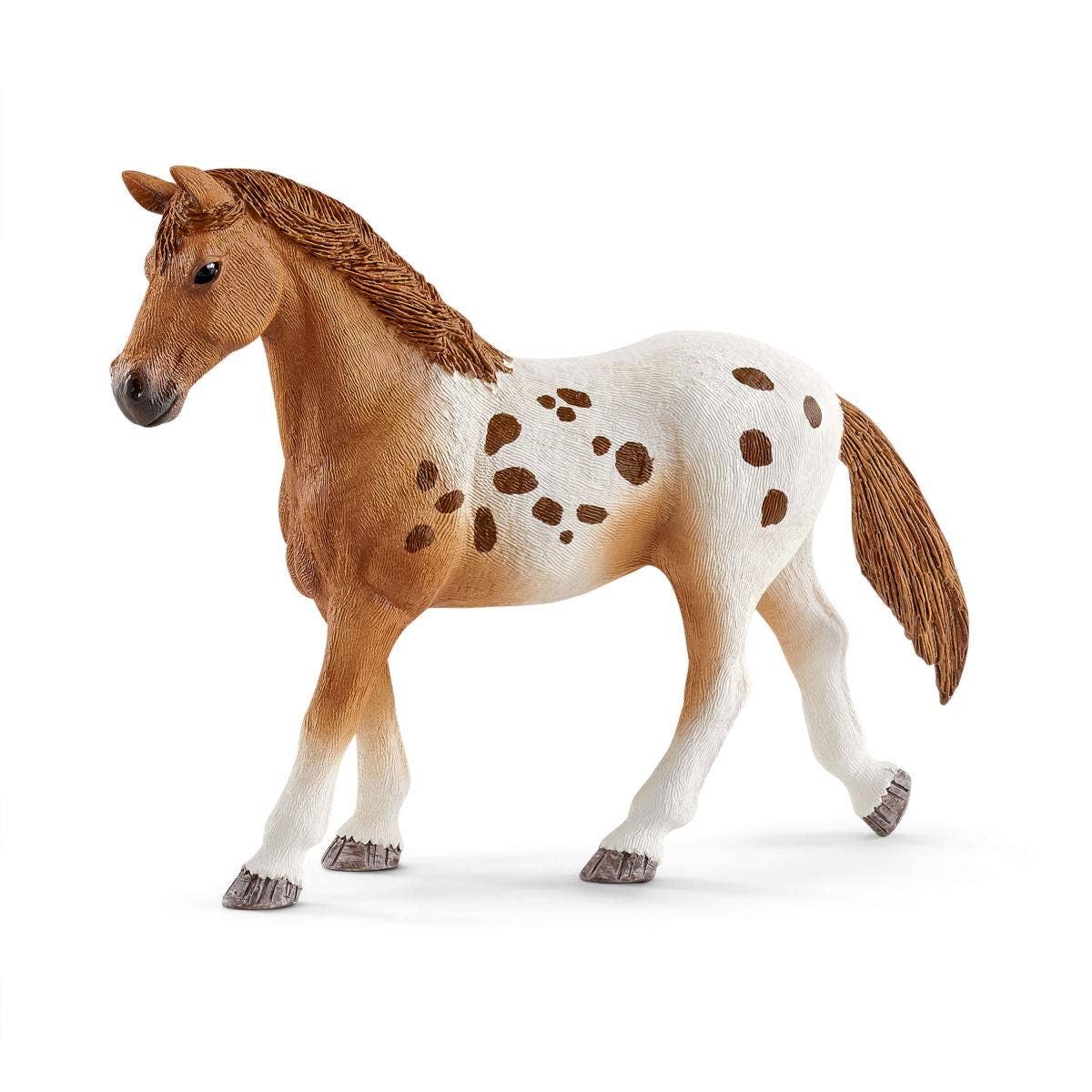 Horse Club Lisa’S Tournament Training  Horse Toy Playset