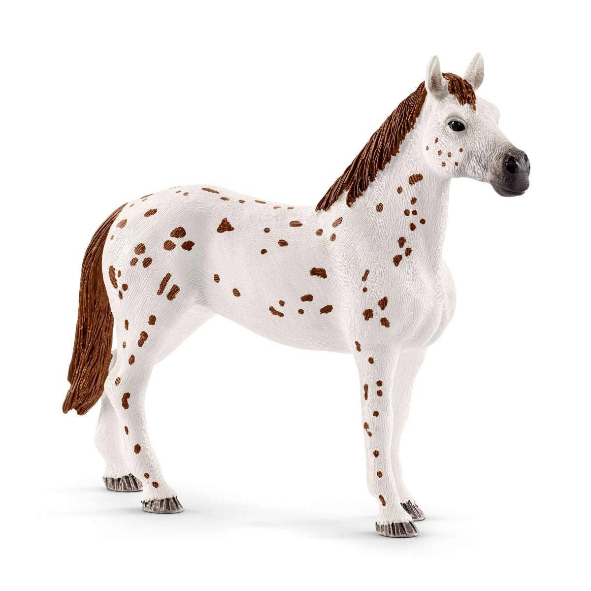 Horse Club Lisa’S Tournament Training  Horse Toy Playset
