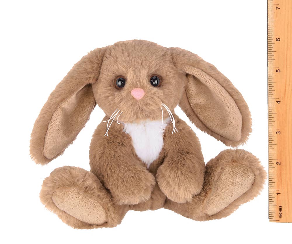 Lil' Benny the Brown Bunny